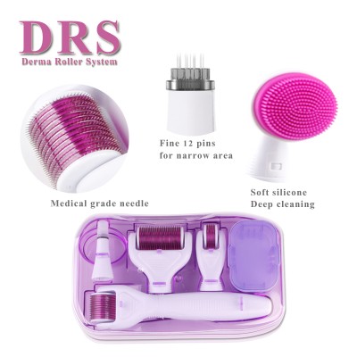 Factory wholesale derma roller manufacturer  6 in 1 derma roller dermaroller