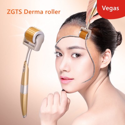 titanium derma roller 192 derma roller needle derma roller pen